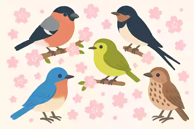 春に見かける有名な鳥は何でしょう?