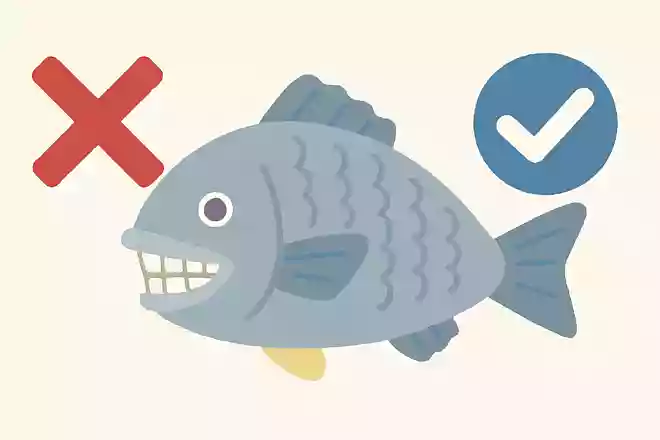 魚には歯がある。◯か☓か?