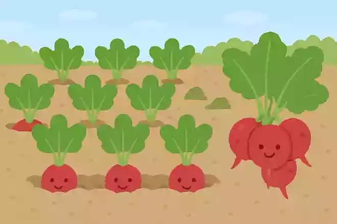 畑に大根が10本あり、4本抜いたらあとはいくつ?