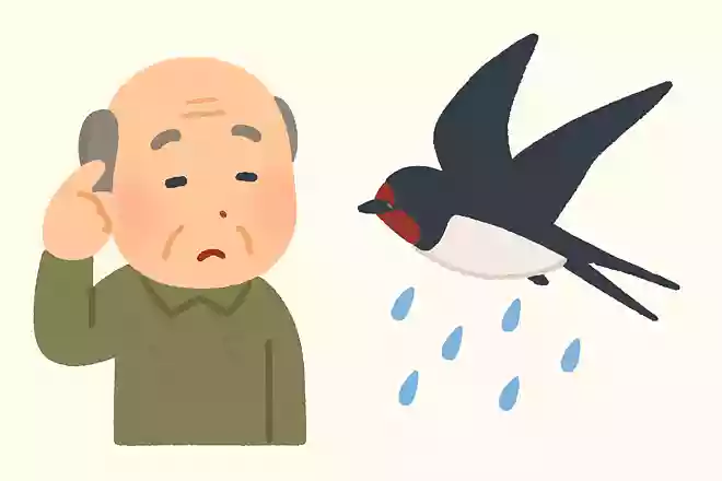ある鳥が低く飛んでいると、雨になると言われています。ある鳥とは何でしょうか?