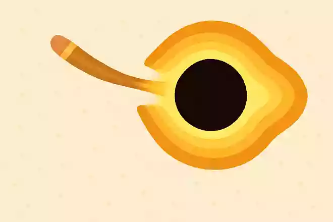 ブラックホールに物体が引き寄せられると細長くなる