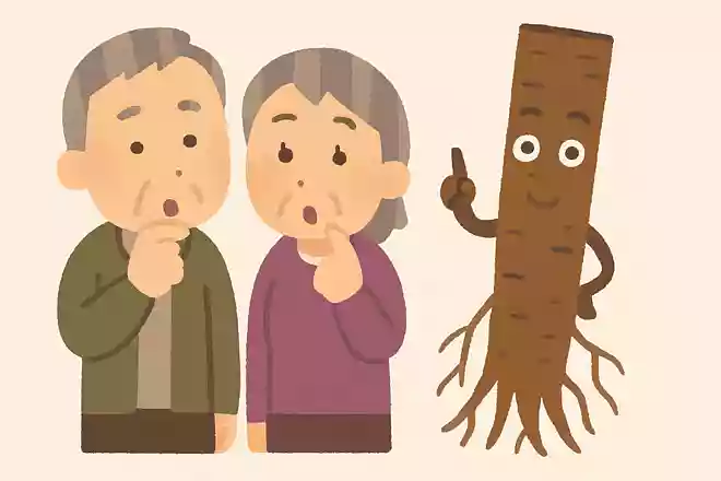 外国では「木の根っこ」のイメージがあり、食べられていない野菜は何でしょうか?