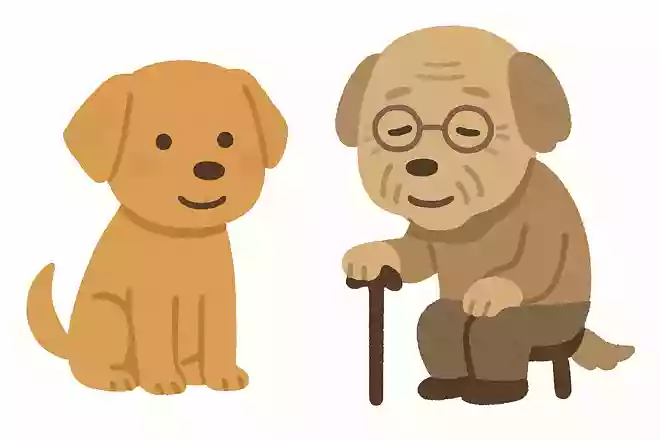 20歳って、犬でいったら80歳らしいよ。
