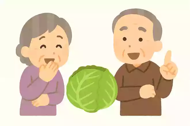 シュークリームのシューは、フランス語である野菜を意味します。何の野菜でしょうか?