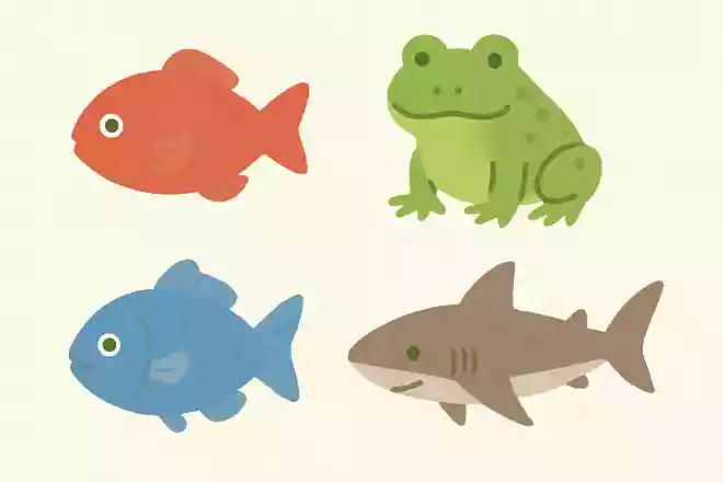 このなかで魚ではない生きものはどれ?