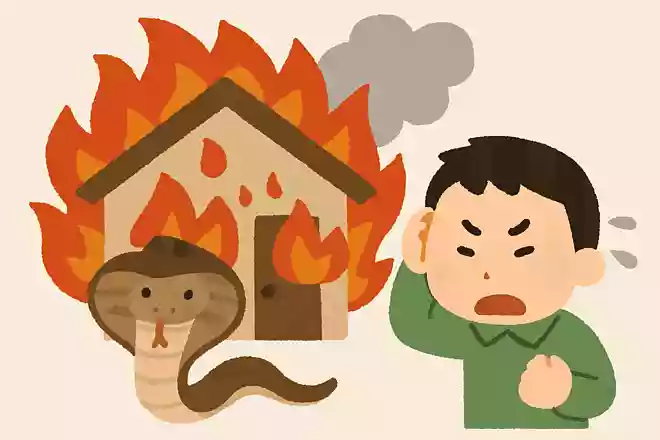 ちくしょうめ 火災保険にはいっとくんだったコブラ