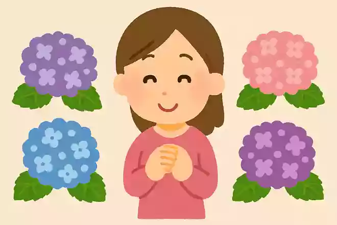 アジサイを「紫陽花」と書くのは勘違いがキッカケ