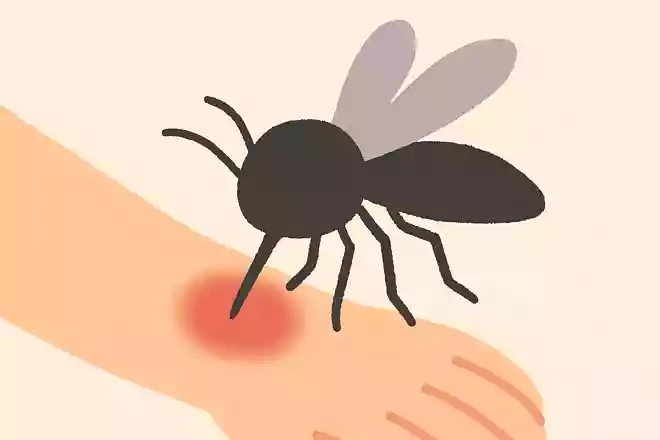 蚊が主食としているのはなんでしょう?