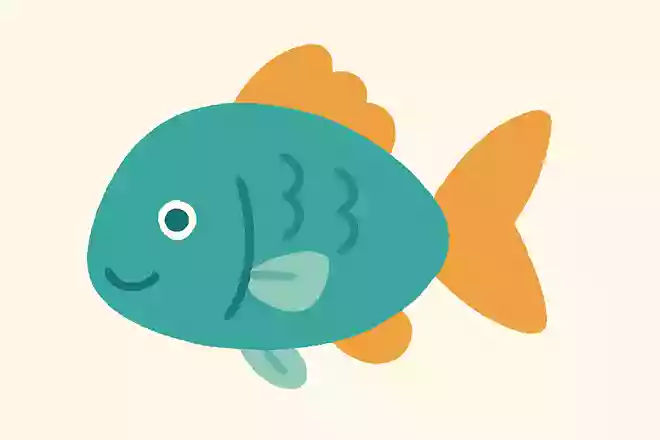 魚の背中についているひらひらとした部分の名前は?