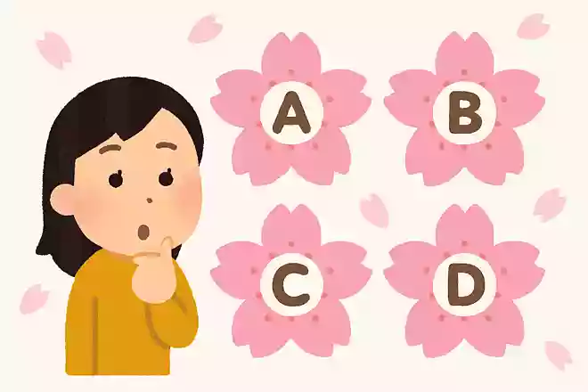 桜の咲く順番を表していると言われているお菓子は何?