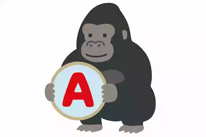 ニシローランドゴリラの血液型はみんな同じです。何型でしょうか?