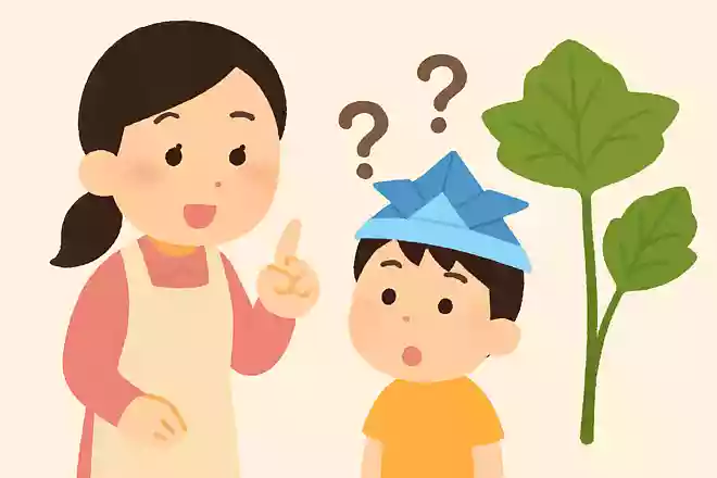 こどもの日のシンボルとして飾られる植物は?