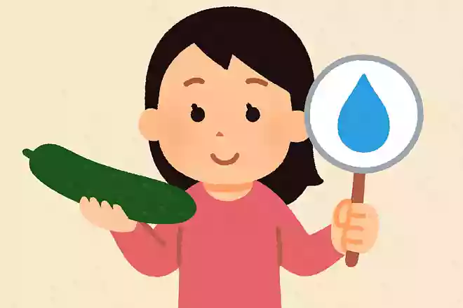 きゅうりに含まれる成分のうち水分は何%でしょうか？