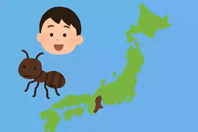 日本で最もたくさんの種類のアリが居る都道府県はどこでしょう?