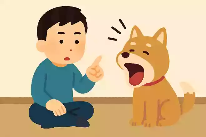 犬をしつけている時、真剣な話をしている時にあくびをするのはなぜ?