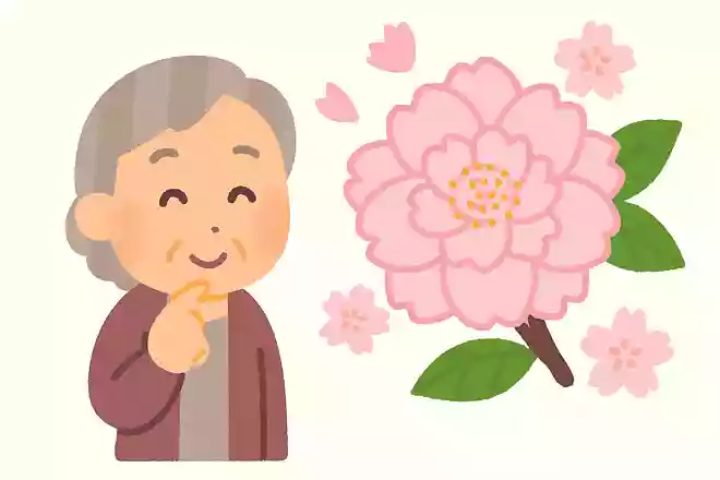 八重桜の花びらは最低何枚以上でしょうか