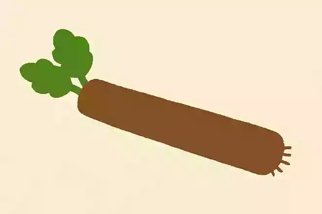 ごぼう