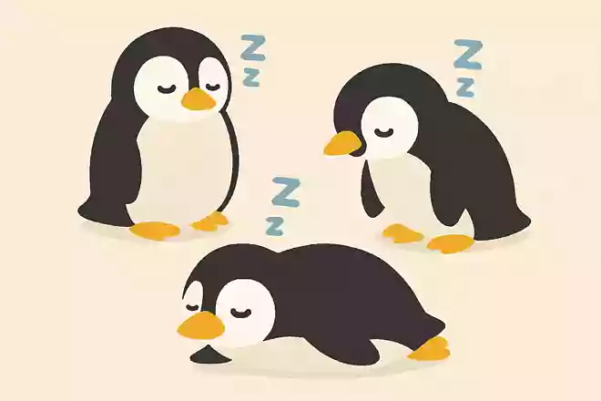 ペンギンはどうやって眠る?