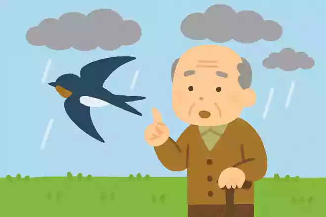 ある鳥が低く飛んでいると、雨になると言われています。ある鳥とは何でしょうか?