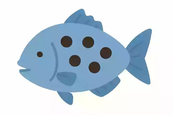 穴が5個ある魚はなんでしょう?
