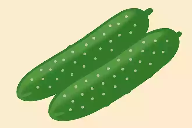 新鮮なきゅうりについている白い粉はなんと呼ばれていますか?