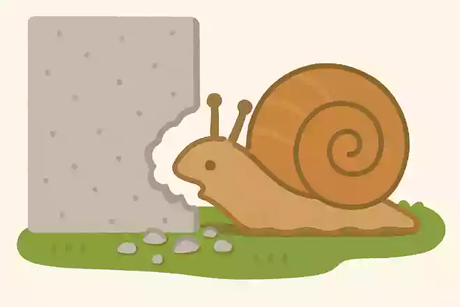 カタツムリはコンクリートも食べる