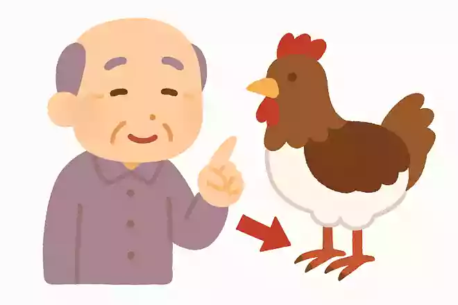爪は体のある部分の一部です。体のどこでしょうか?