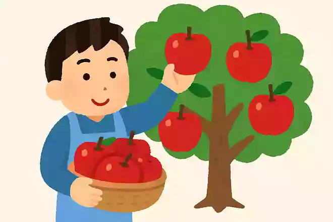 日本で一番収穫量が多い果物は?