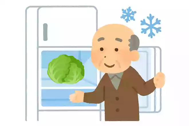 一般家庭にある冷凍庫に入れても凍らない食材は何でしょう?