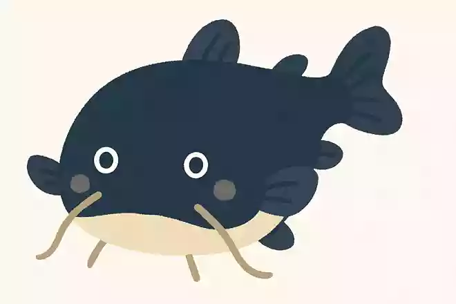 鯰