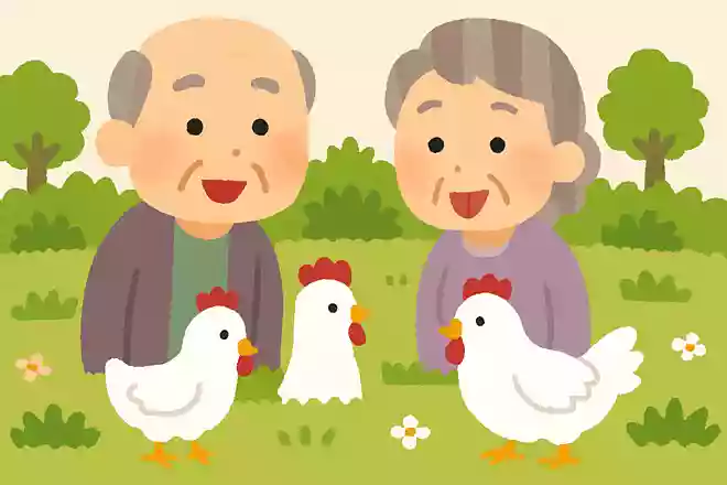 庭には二羽にわとりがいる