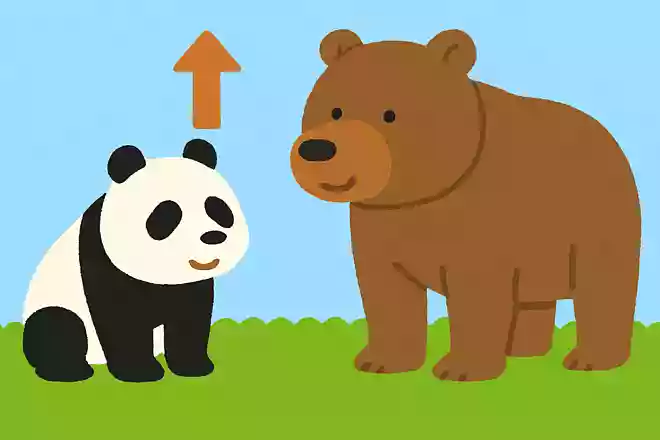 ジャイアントパンダとヒグマ、大きいのはどっち?