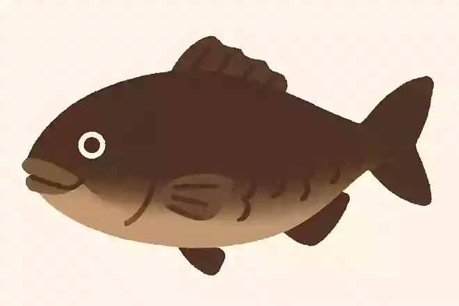 愛知県名古屋市の名物「ひつまぶし」に使われている魚は何でしょうか?