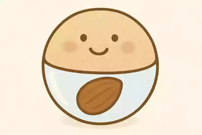 中に物が入っているボールはなんでしょう?