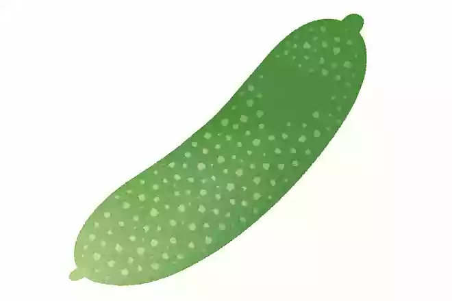 きゅうりの表面に付いている白い粉はなんでしょう?