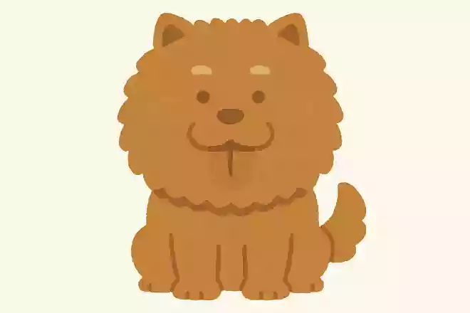 あんたあたしのことあんたあんた言うけど、あたしもあんたのことあんたあんた言わへんから、あんたもあたしのことあんたあんた言わんといてよ、あんた