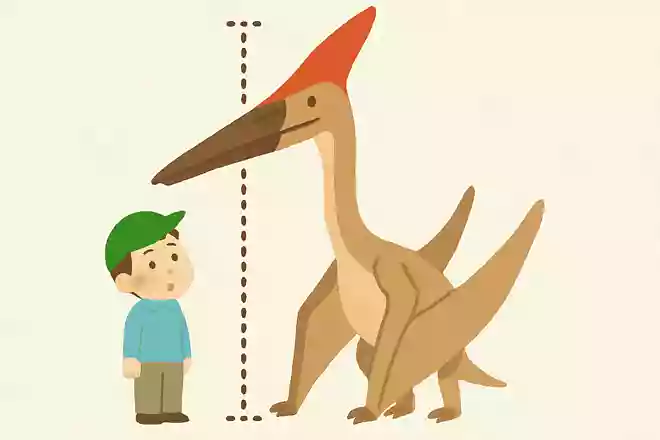 一番大きい翼竜といえば?