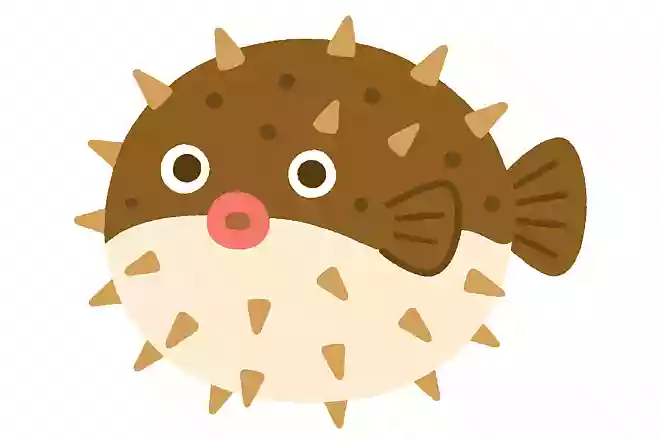 ふぐはぷくーっと大きくふくらみます。どんなときにふくらむでしょうか?