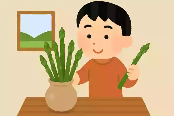 アスパラガスはもともと観賞用だった