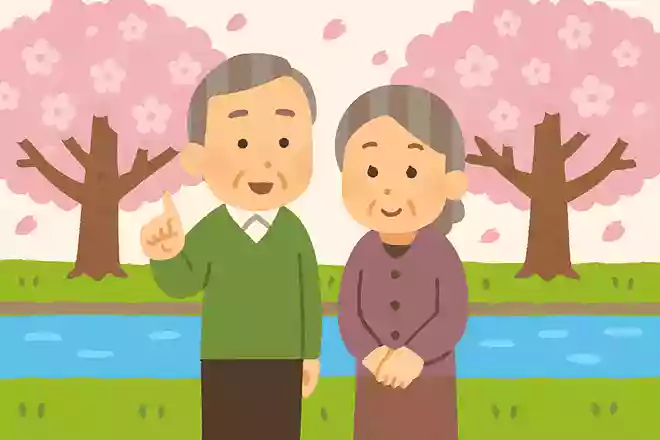 川沿いに桜が咲いているところが多いのはどうしてでしょうか?