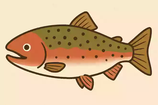 拶双魚