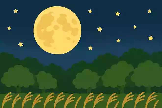 6月の満月のことを「何ムーン」と呼ぶでしょうか?