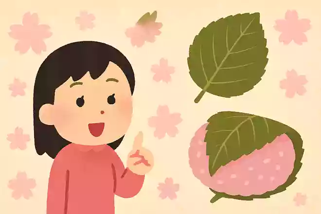 桜餅に使われるのは何という桜の葉っぱ?