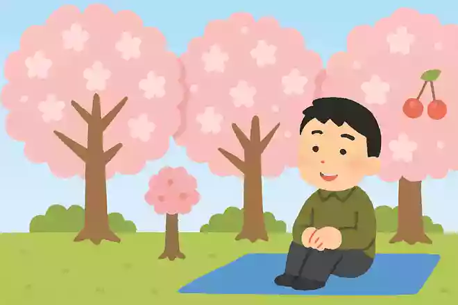 お花見で見る桜の木にはさくらんぼができない