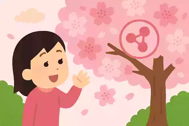 桜の花がピンク色の理由は、アントシアニンという色素成分が含まれているから