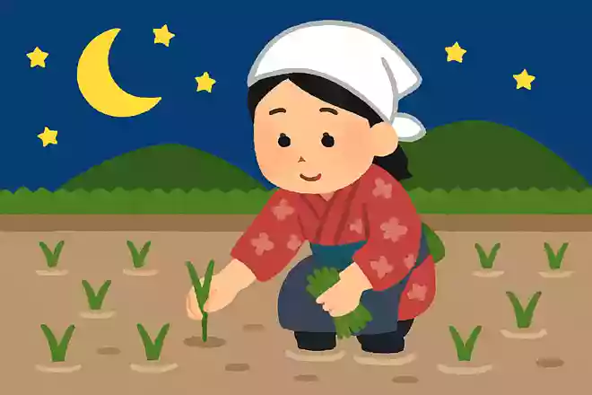 5月の旧暦「皐月」の由来