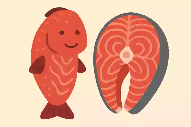 鮭は赤身の魚である