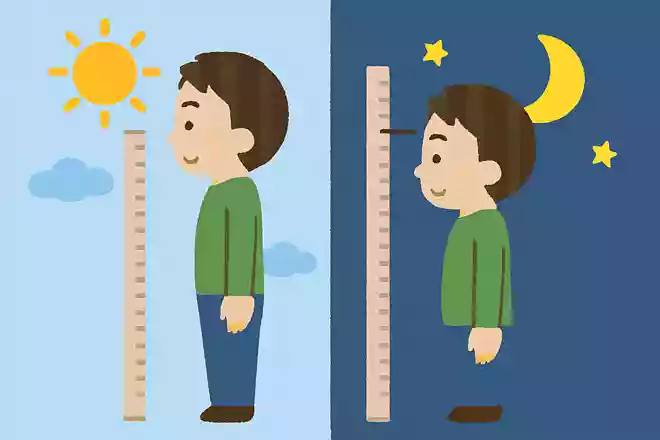 朝と夜で身長にはどのような変化があるでしょう?