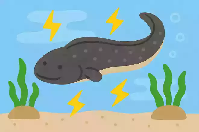 電気魚(でんきうお)と呼ばれる魚のうち、一番電気のいりょくが強いのは?