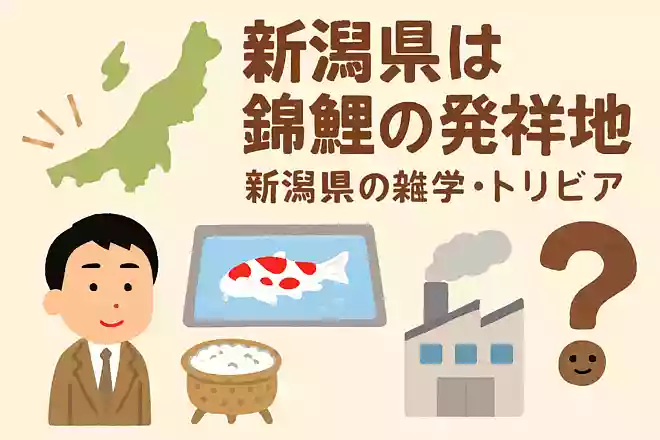 新潟県は錦鯉発祥の地